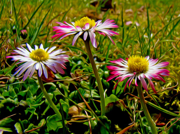 BLÜTEN