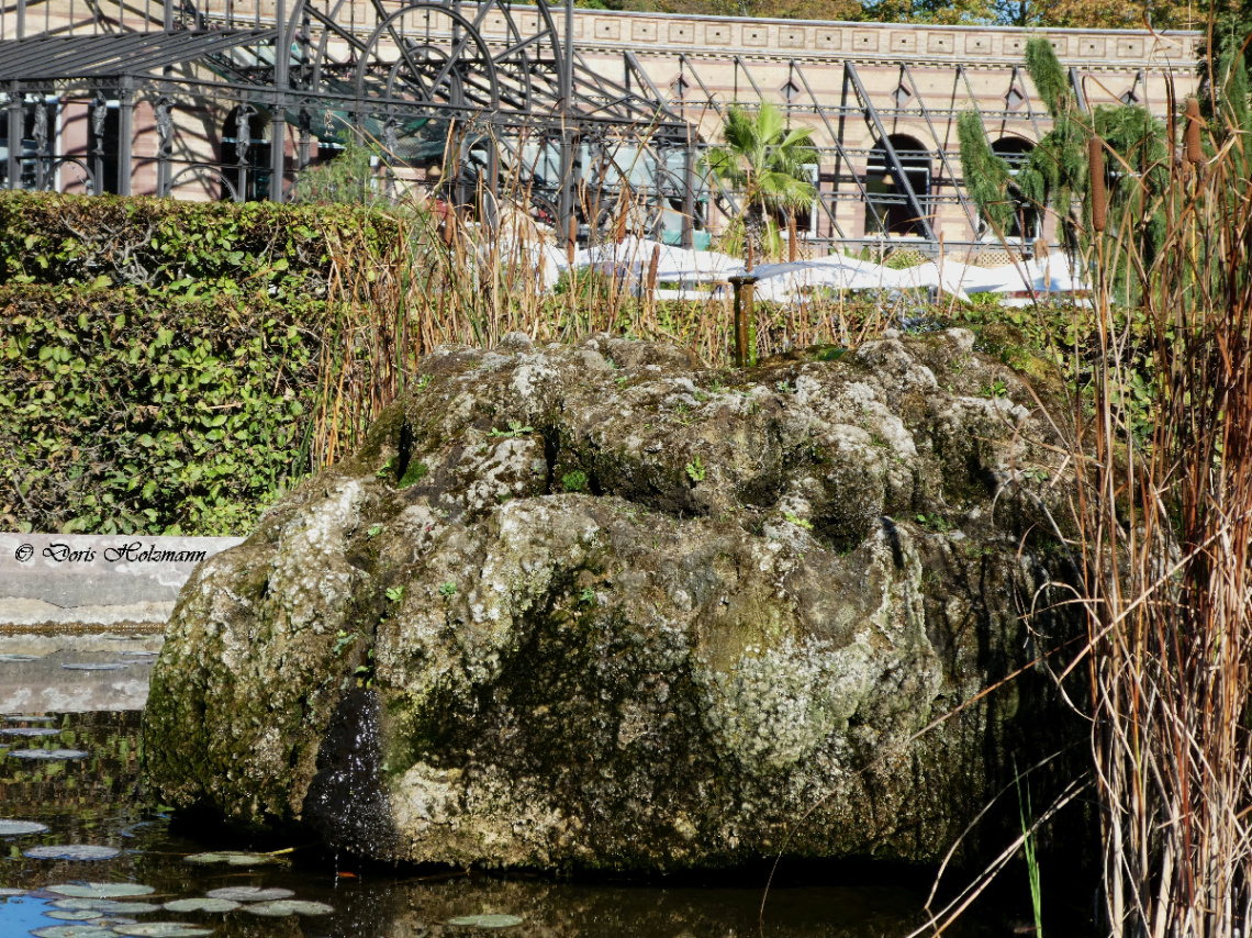Botanical Garden, Karlsruhe / Germany