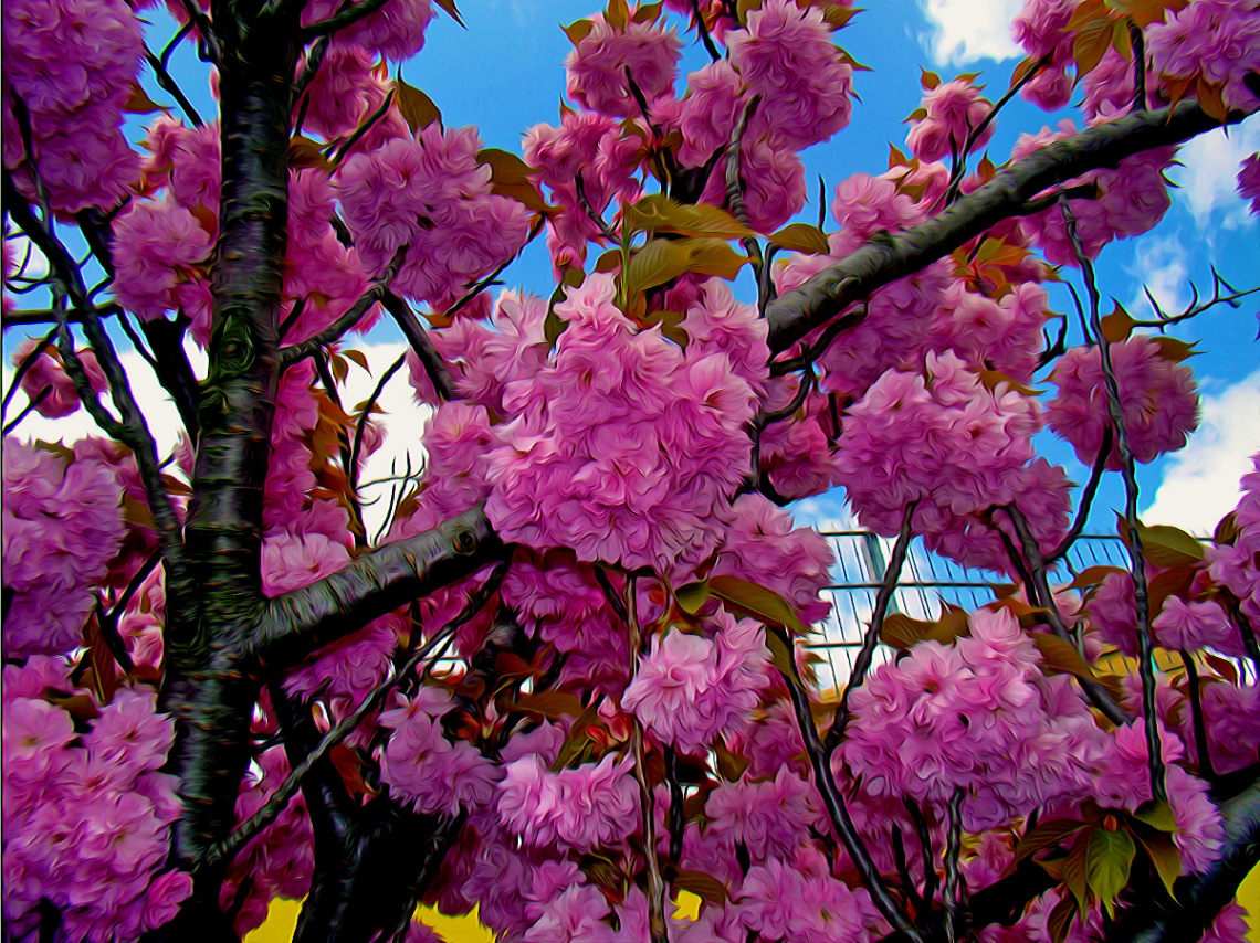 BLÜTEN