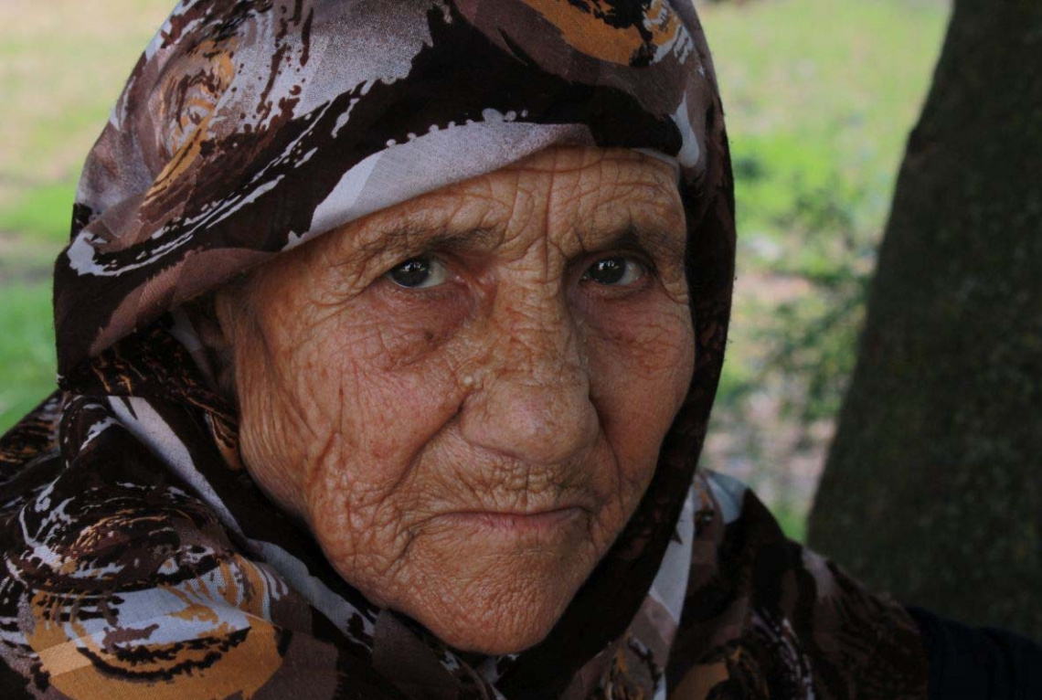 Hayatın Çizgileri