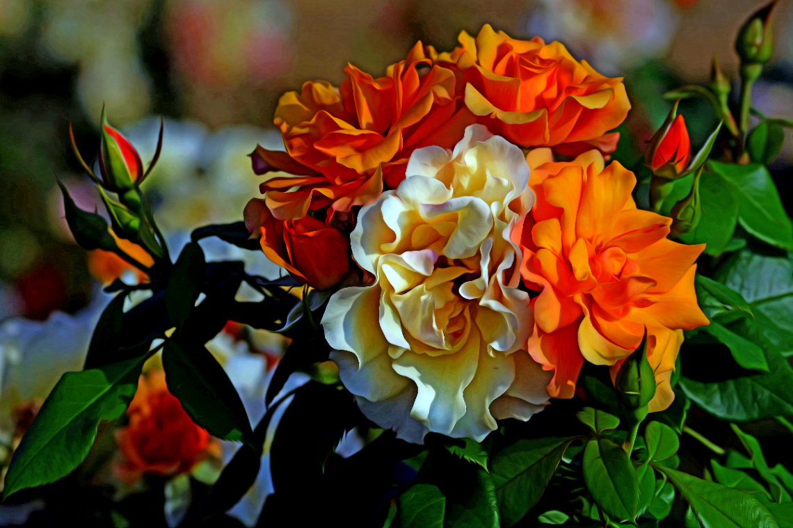 BLÜTEN