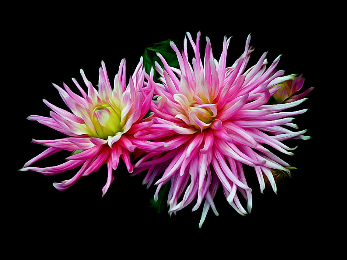 BLÜTEN