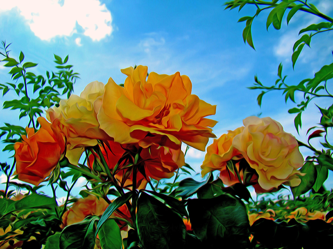 BLÜTEN