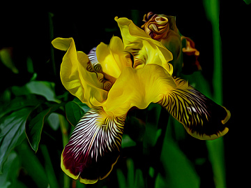 BLÜTE