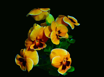 BLÜTEN