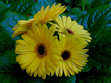 BLÜTEN