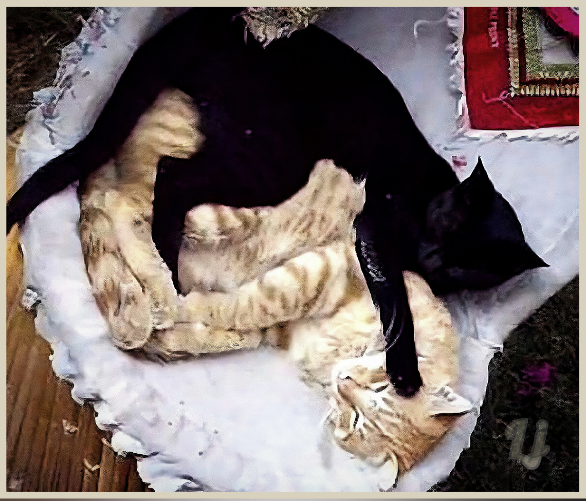 Catnap ❤️⚜❤️