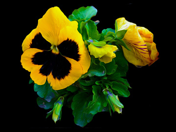 BLÜTEN