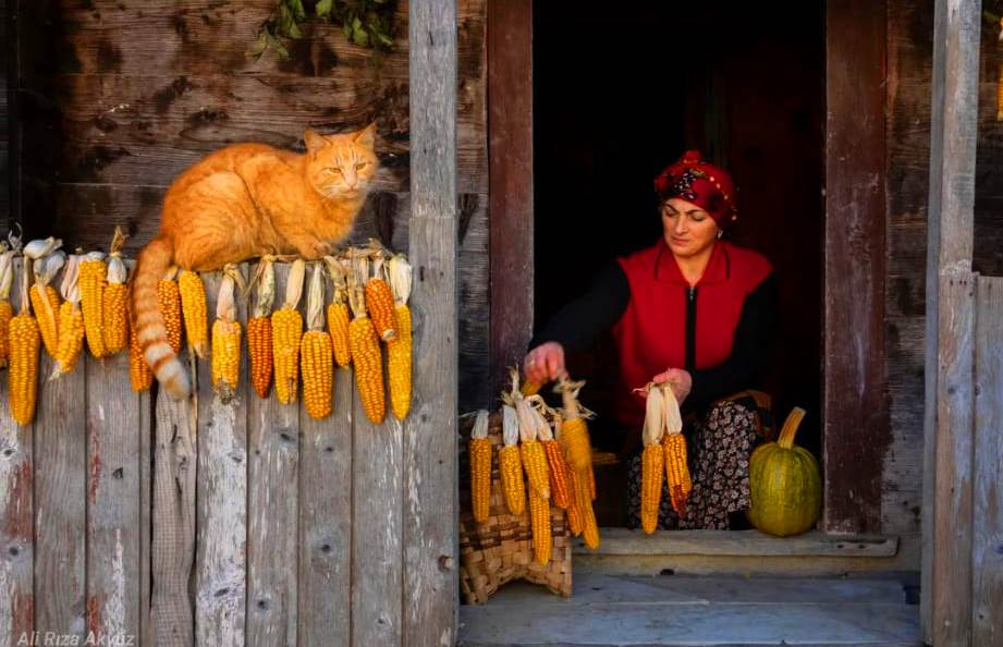 ÇAYKARA
