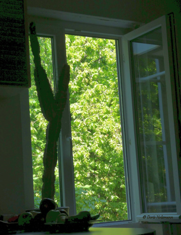 View from the window 