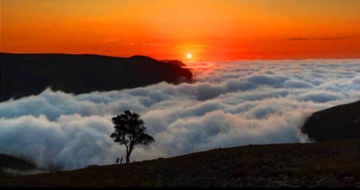 DOĞA