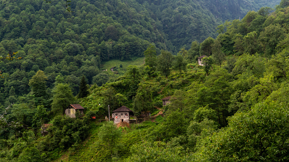 Karadeniz