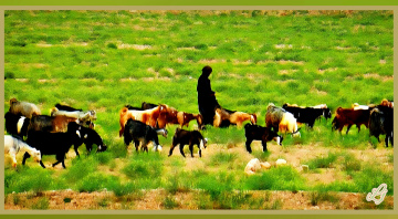 Chiltan Valley, Quetta, Balochistan ⚜⚜⚜