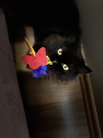 “Pekmez” Evlat????