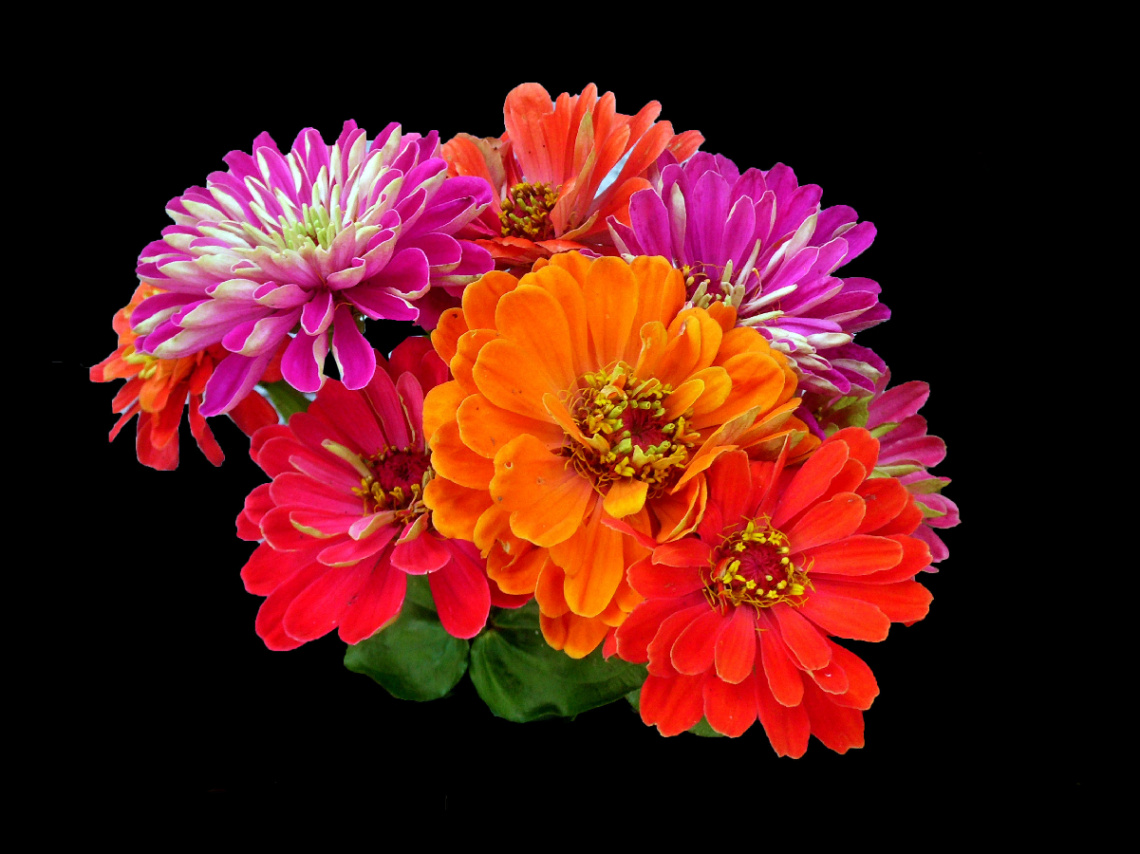 BLÜTEN