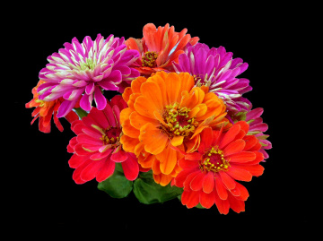 BLÜTEN
