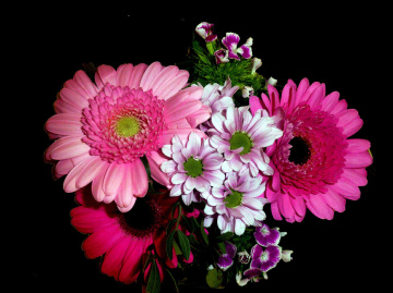 BLÜTEN