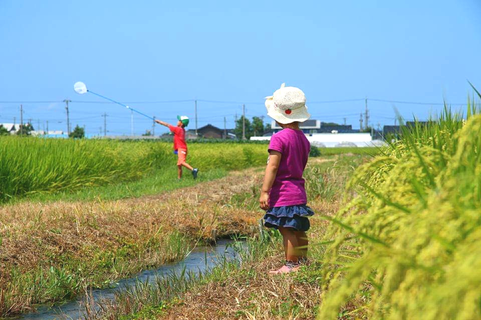 Children in summer