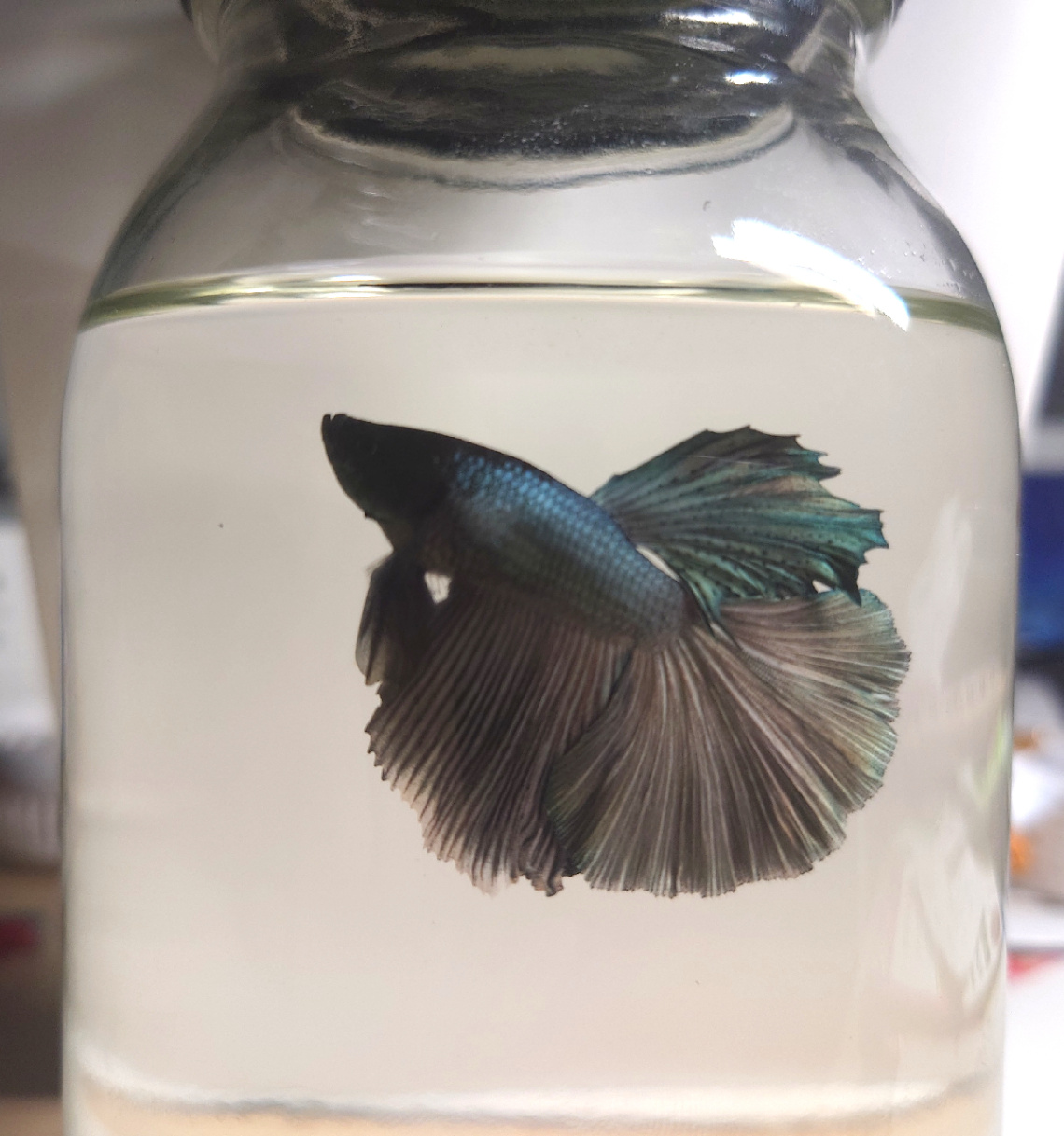 In the bottle