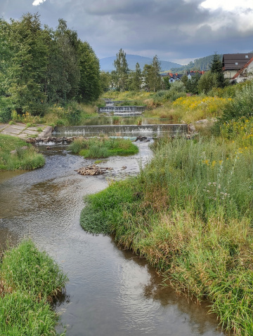 ALONG THE RIVER