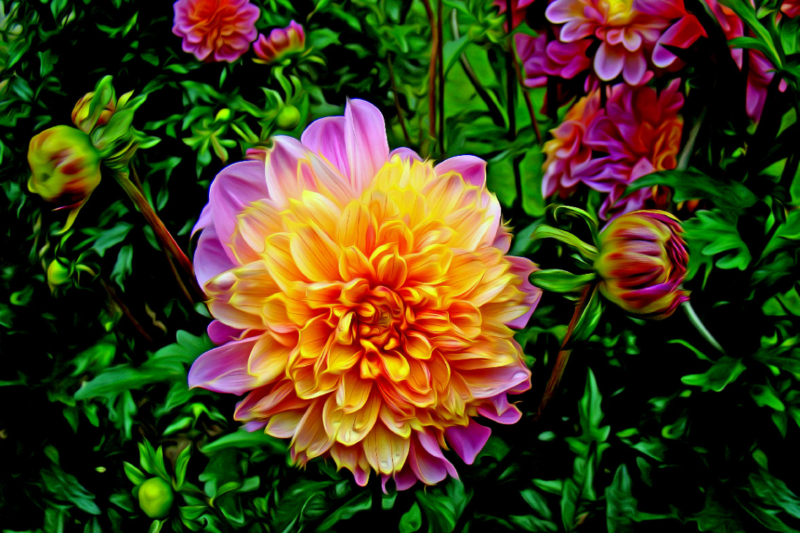 BLÜTEN