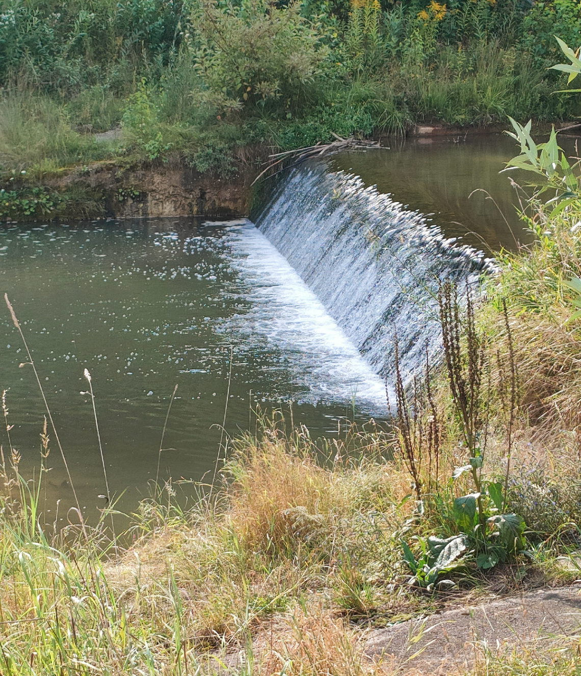 A WEIR 