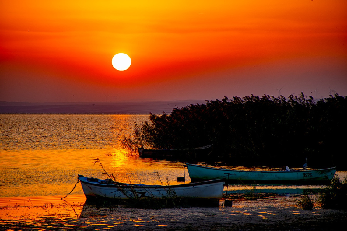 Bandırma Kuş cenneti