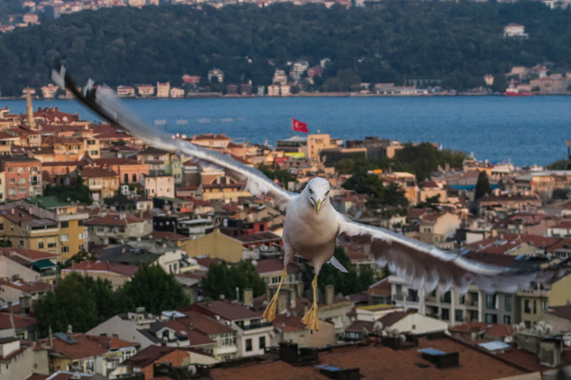 İstanbul Kanatlarımın Altında