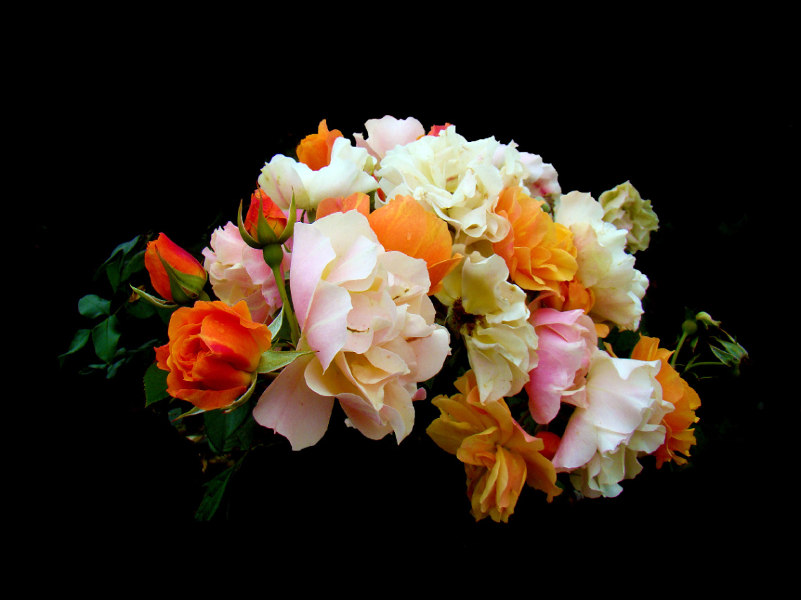 BLÜTEN
