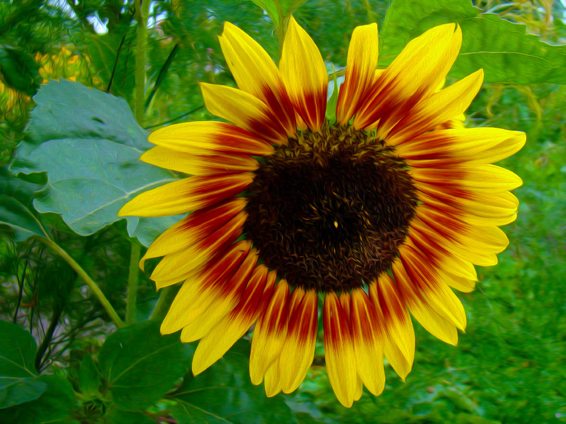 BLÜTE