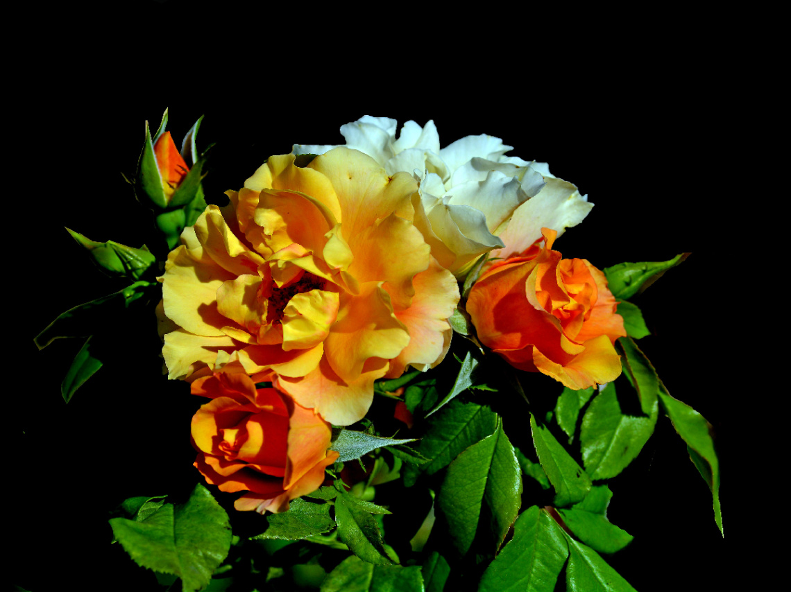 BLÜTEN