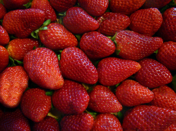 BEEREN