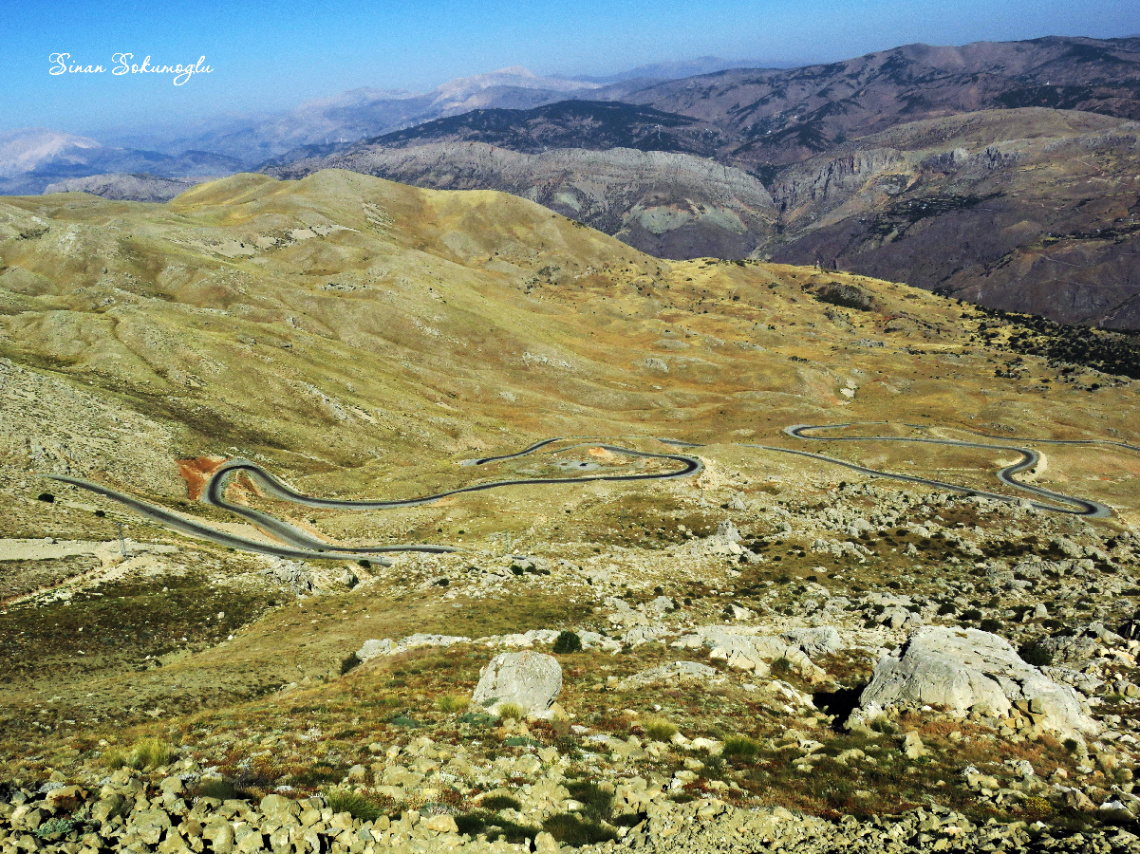 kıvrımlı yollar
