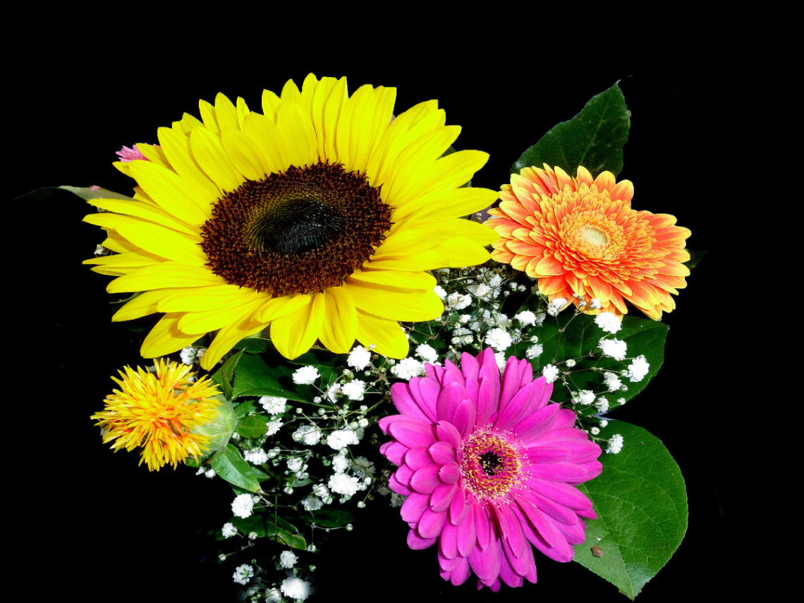 BLÜTEN