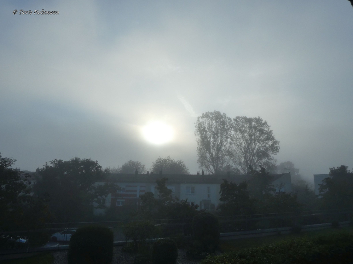 Morning mist, Karlsruhe / Germany