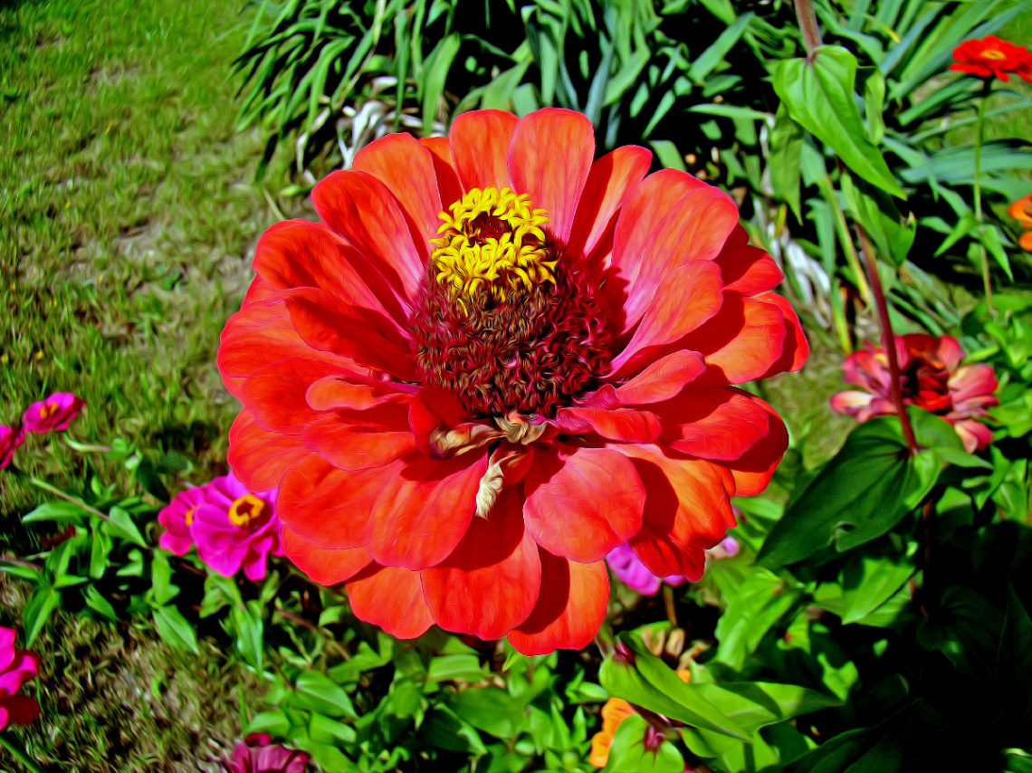 BLÜTE