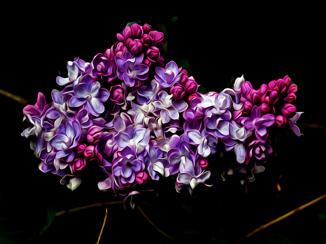 BLÜTEN