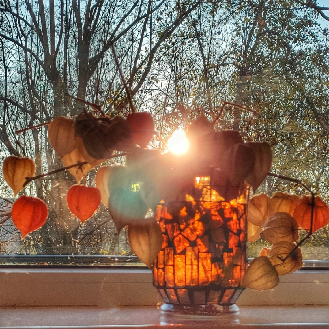 AUTUMN MORNING