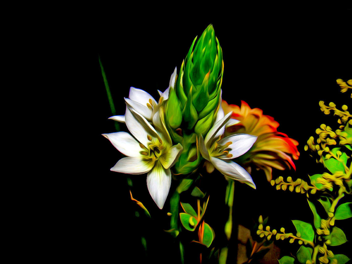 BLÜTEN
