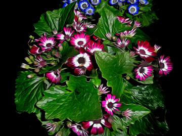BLÜTEN