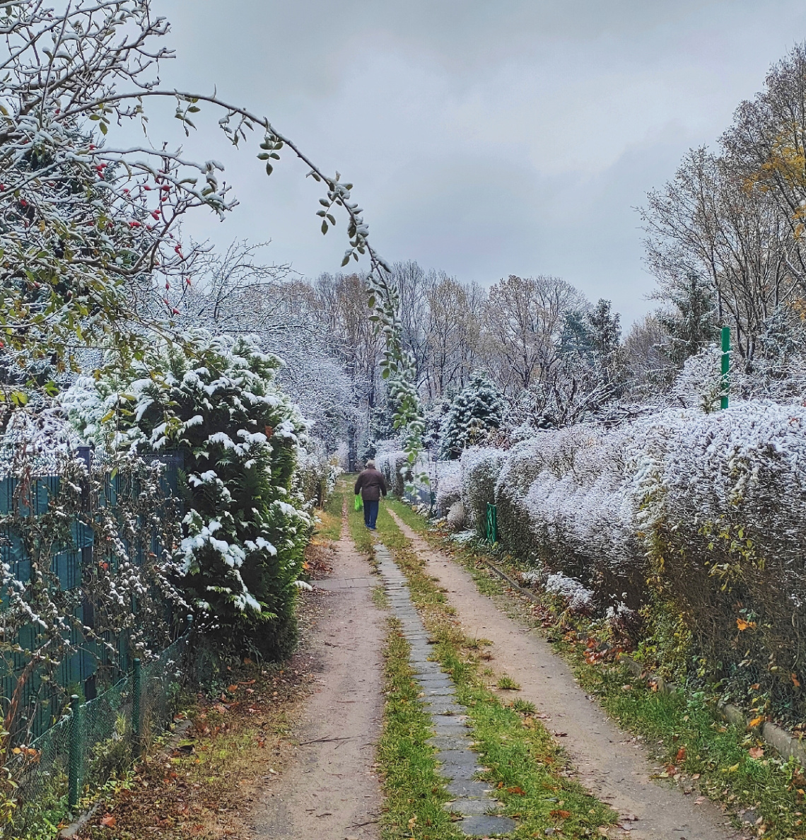 THE FIRST SNOW