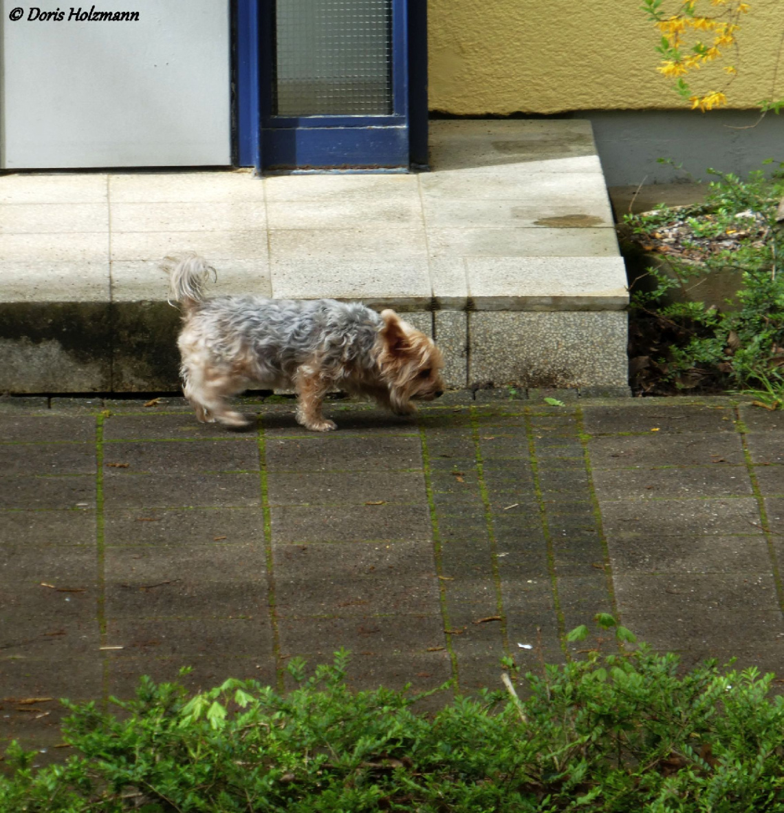 Sniff, sniff ... ,-)