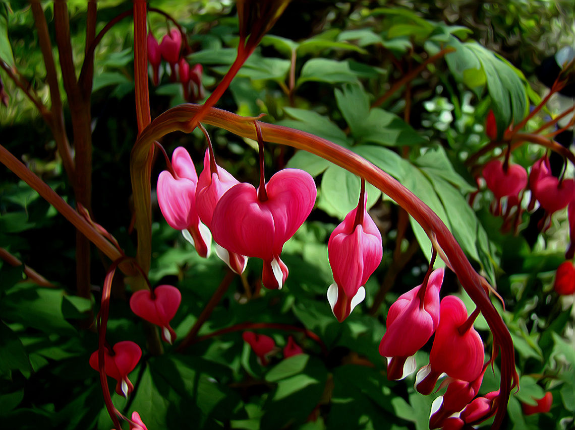 BLÜTEN
