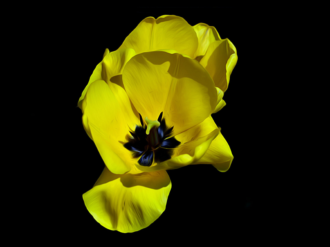 BLÜTE