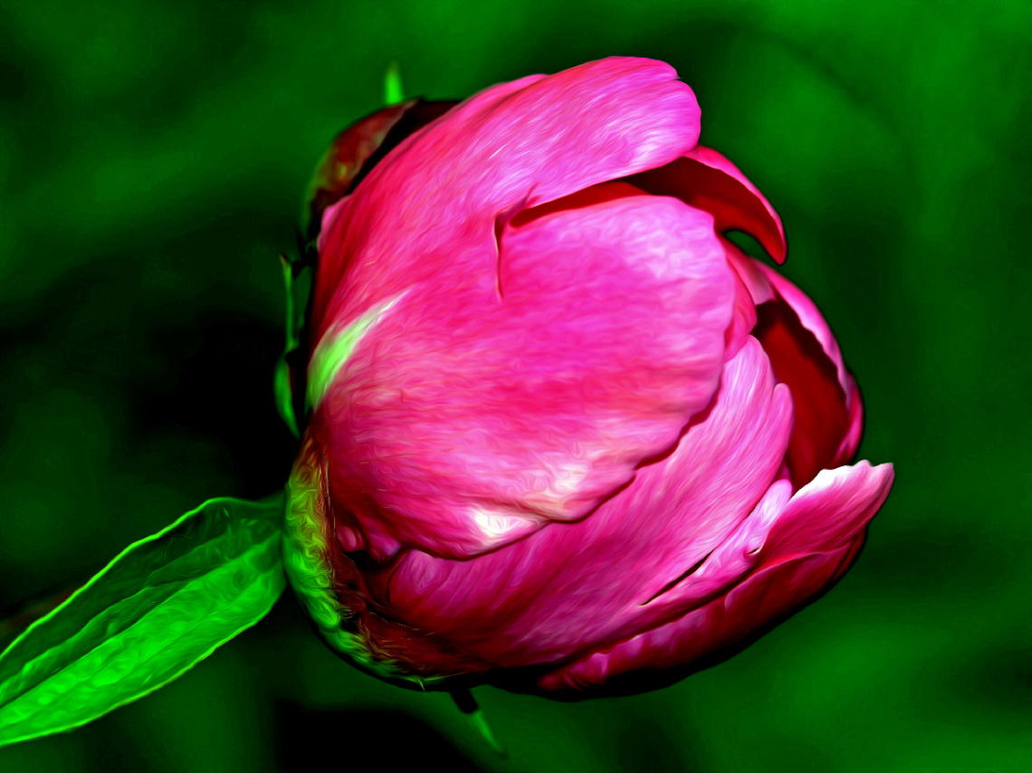 BLÜTE