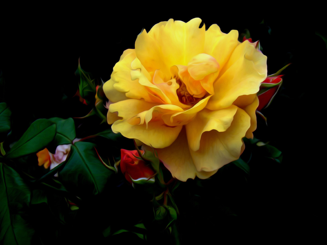 BLÜTEN