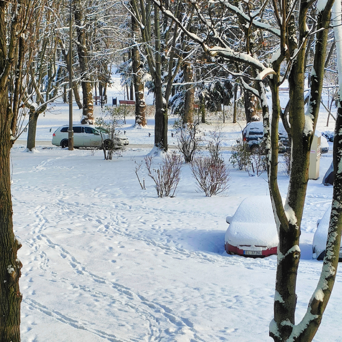 SNOWY WINTER 