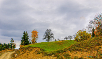 DOĞADAN