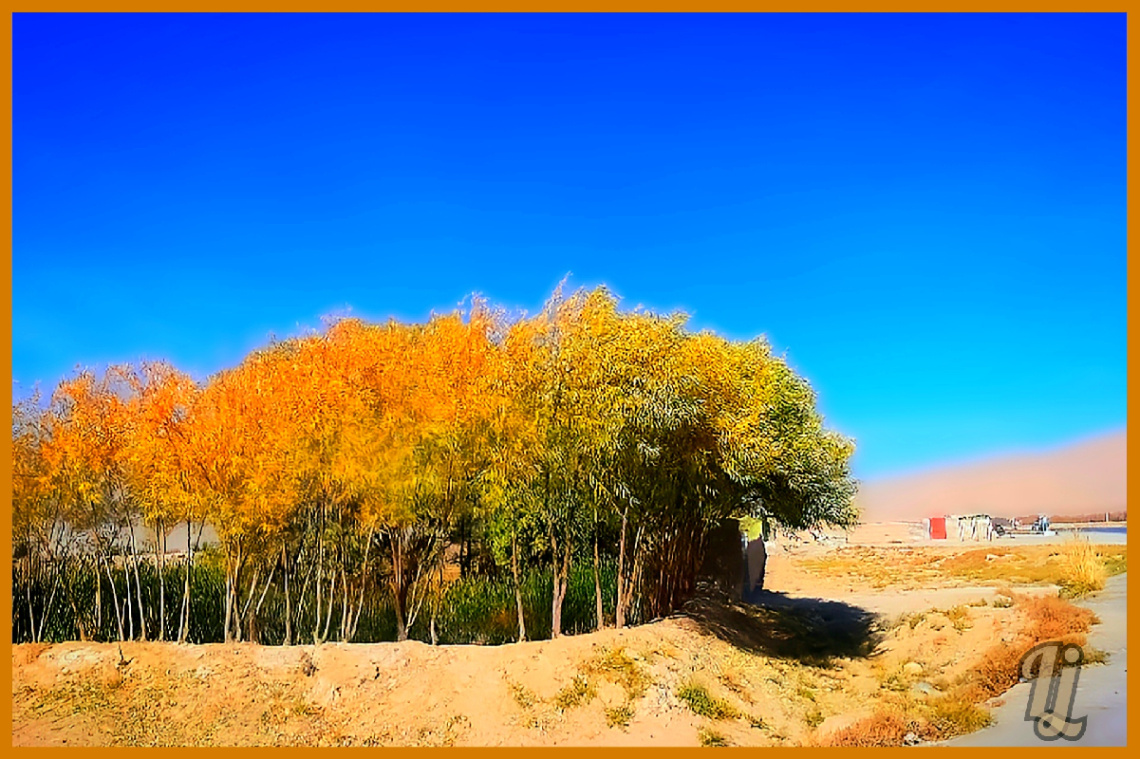 Autumn at Mastung valley ⚜⚜