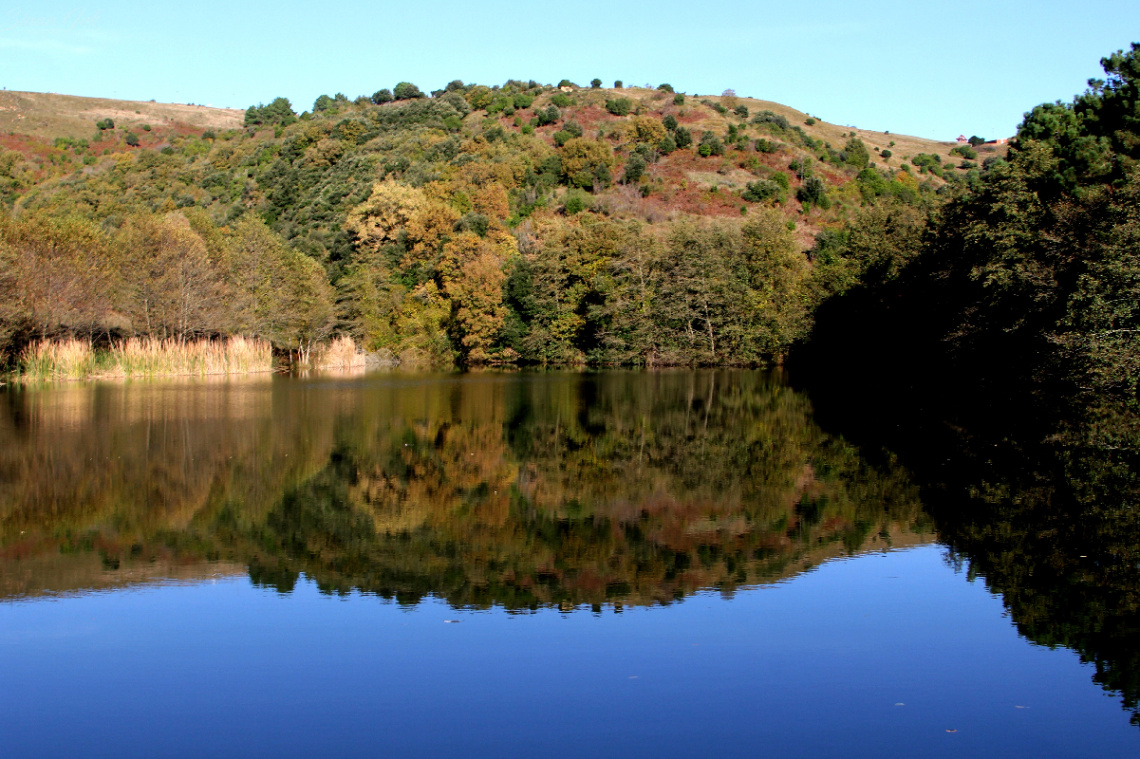 DOĞA